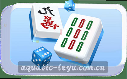 移动端多端访问