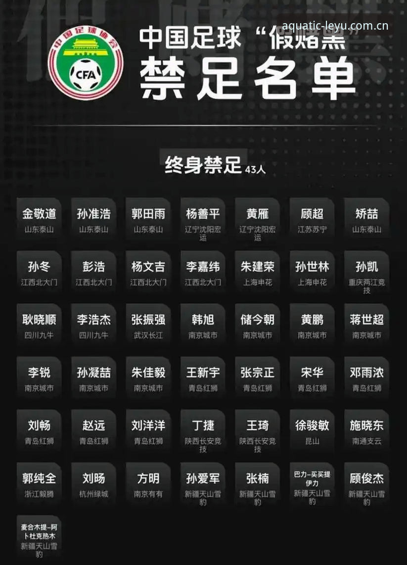 资深用户分享：足协第三批禁足名单背后的数据观察与乐鱼支持什么设备评测使用心得