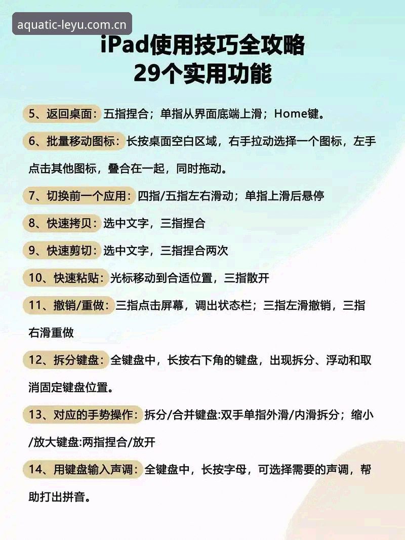 苹果版LEYU全平台实用指南：从API差异到多端同步的必备知识